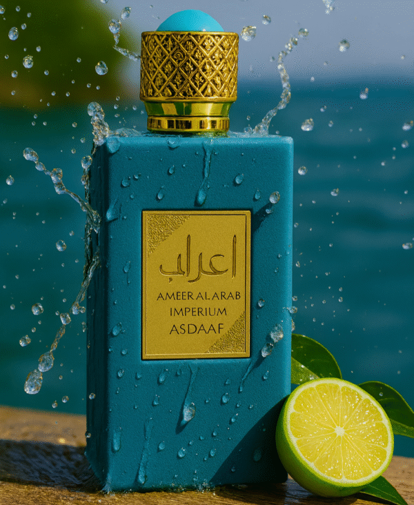 Ameer al arab bleu mise en, situiation